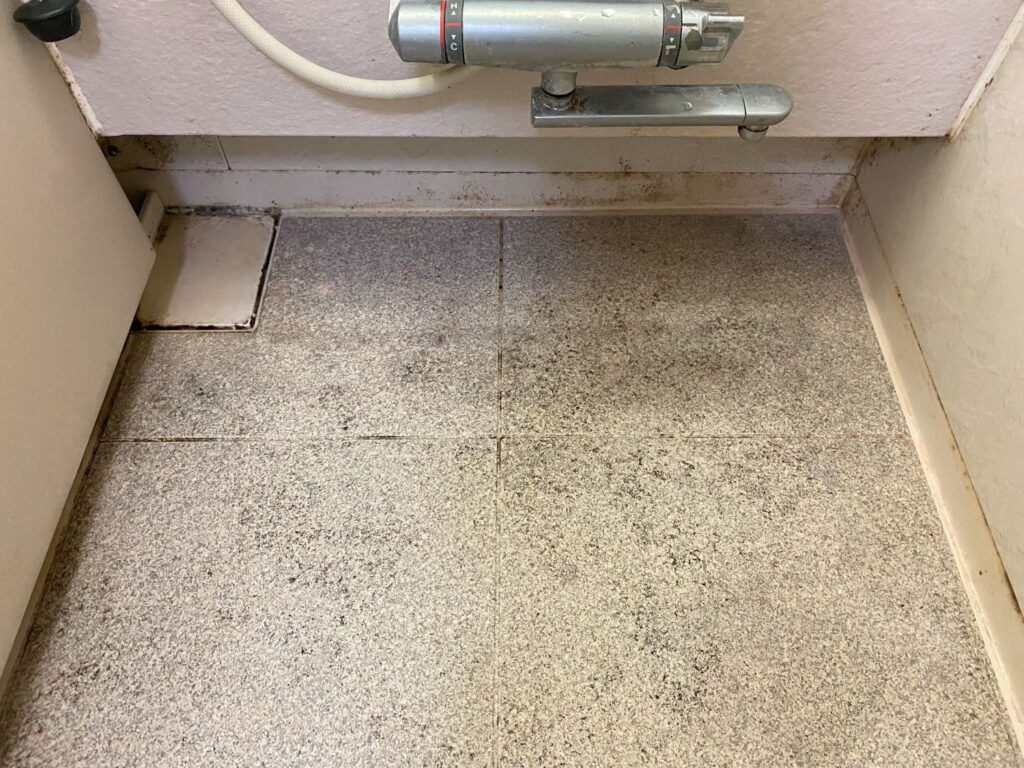 千葉県や東京都を中心に関東でプロによるお風呂掃除（浴室クリーニング）を行っている業者です。カビが生えているお風呂の床や壁も洗浄します