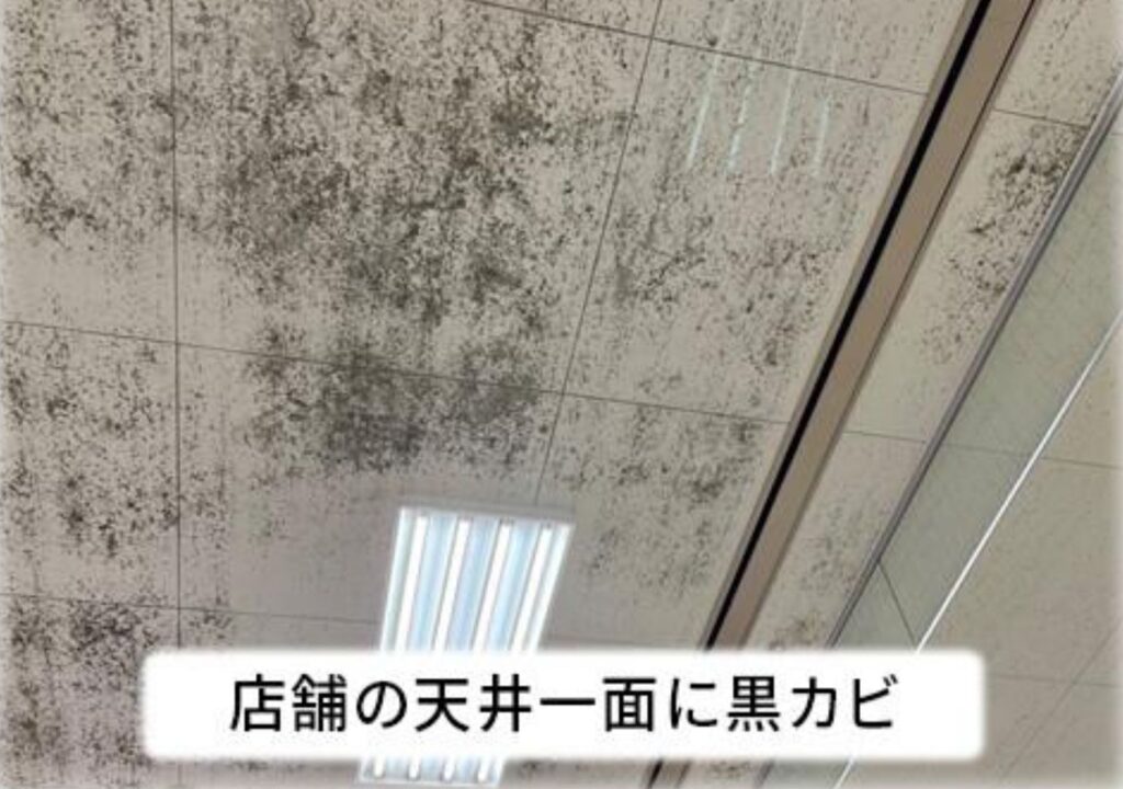 当店は東日本を中心にカビ取り・防カビ施工を行うイリュージョンクリーンサービスです。平均5年、最長10年の高耐久の防カビ施工ぜひおまかせください。